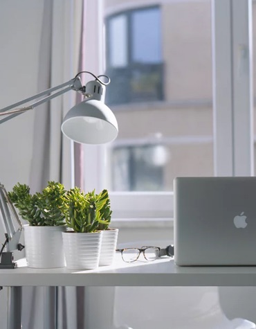 view of a desk with a laptop and plants with a window behind